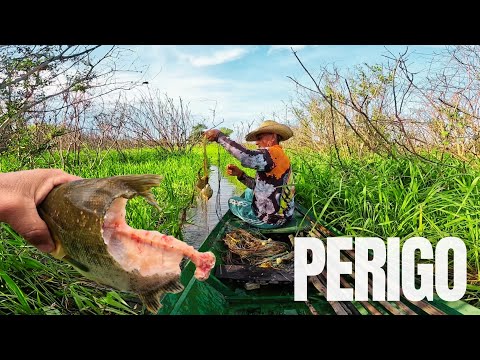 FARTURA E PERIGO: A pescaria mais insana do Sapucaia! 🐊🎣