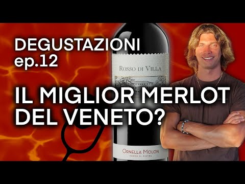 IL MIGLIORE MERLOT DEL VENETO ? 🍷🔥