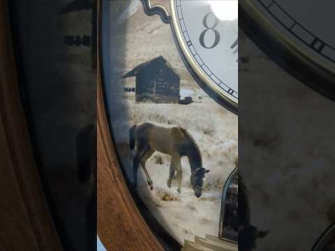 American The Beautiful on Rhythm American Prairie 4MH860WU06 #usa #july4th #farm #horse