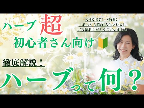 医療ビジネス薬科学科 ハーブ超初心者さん向け🔰 徹底解説!!  ハーブって何？