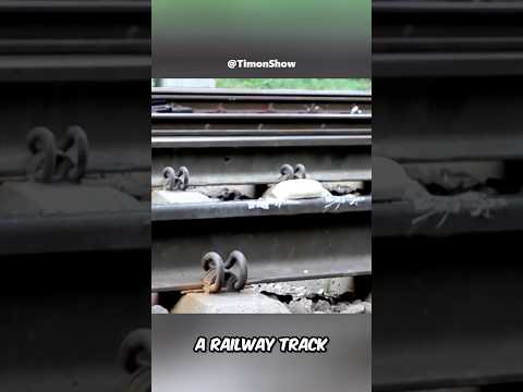 Train Vs Non-Newtonian Fluid 😨