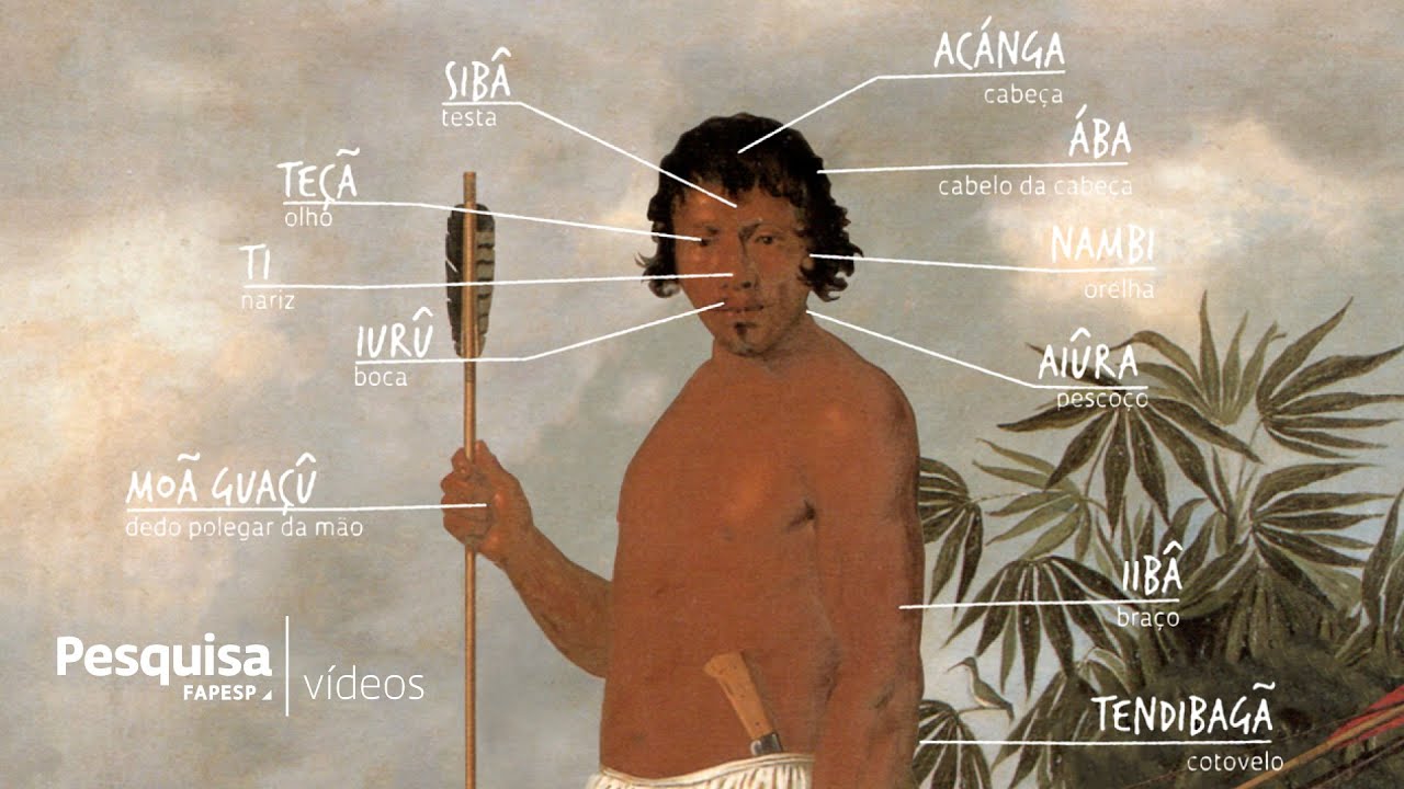 Primeiro dicionário de anatomia do Brasil foi em tupi