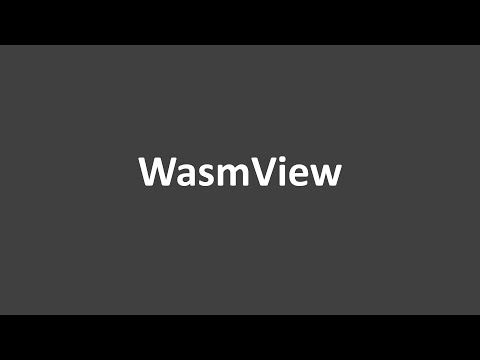 WasmView: Visual Testing for WebAssembly Applications