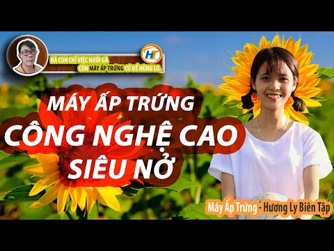 MÁY ẤP TRỨNG công nghệ cao SIÊU NỞ - MÁY ẤP TRỨNG HIỆN ĐẠI NHẤT 2019 - HÙNG THỦY