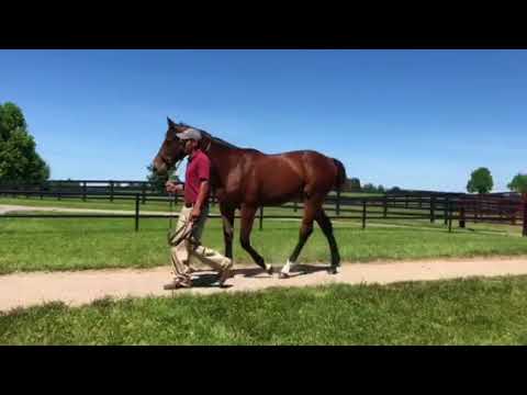 Empire Maker / Namaste’s Wish 17