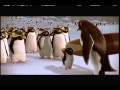 Opening To Open Season 2007 DVD