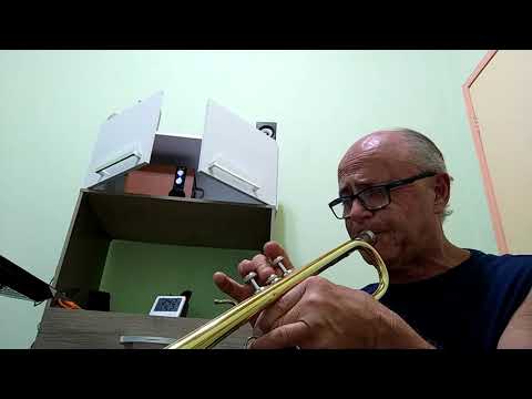 Roberto Przybylski - Tim Hagans, French Girl