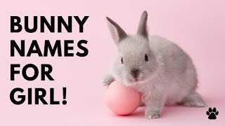 🐰 Bunny Names For Girl 💚 45 TOP & CUTE Bunny Female | Names