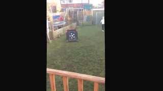 Jack & Charlie Cresswell playing football in the garden 08.02.15