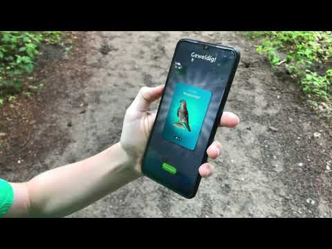 Perfect Earth Animals Video