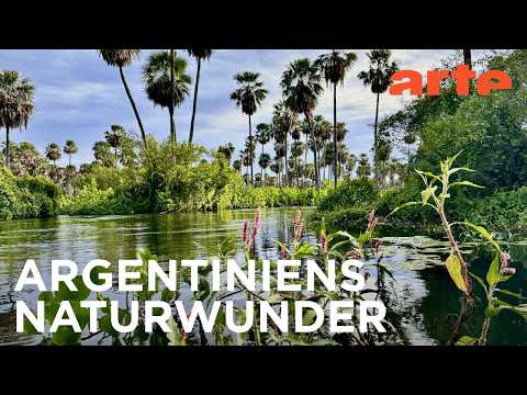 Chaco und Anden | Argentinien | ARTE Fernweh