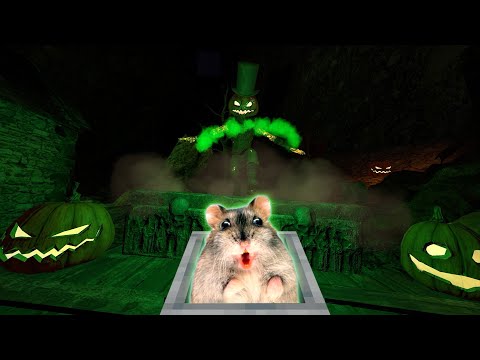 Hamster in Halloween Roller Coaster Maze 2022