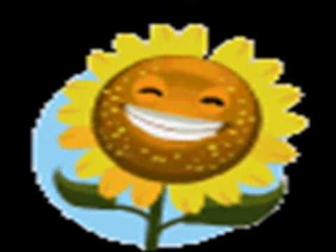 Kevin rudolf in the city