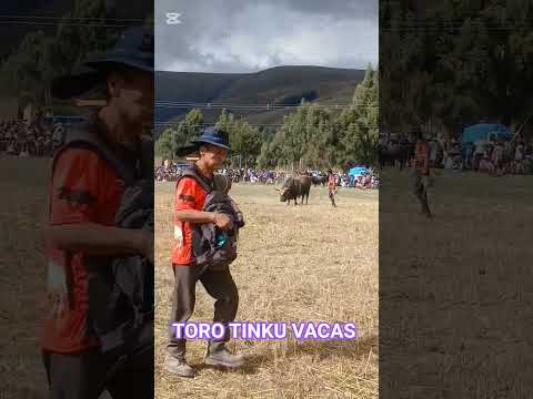 17 de octubre de 2025