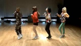2NE1 &#39;Do You Love Me&#39; mirrored Dance Practice