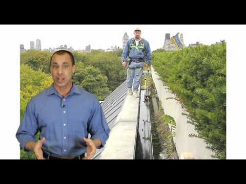 Miller by Honeywell Gravity Kills