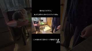 2025年5月17日