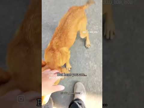 Jordan was born with #cerebellarhypoplasia but look at him go!!!