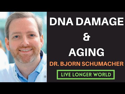 #14 - Dr. Bjorn Schumacher | DNA Damage & Aging, p53 & Cancer, and DNA repair in Reproductive Cells