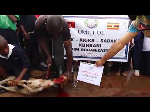 Afrika'da adak-akika ve sadaka kurbanlarınızı kesip ihtiyaç sahiplerine dağıtmaya devam ediyoruz.