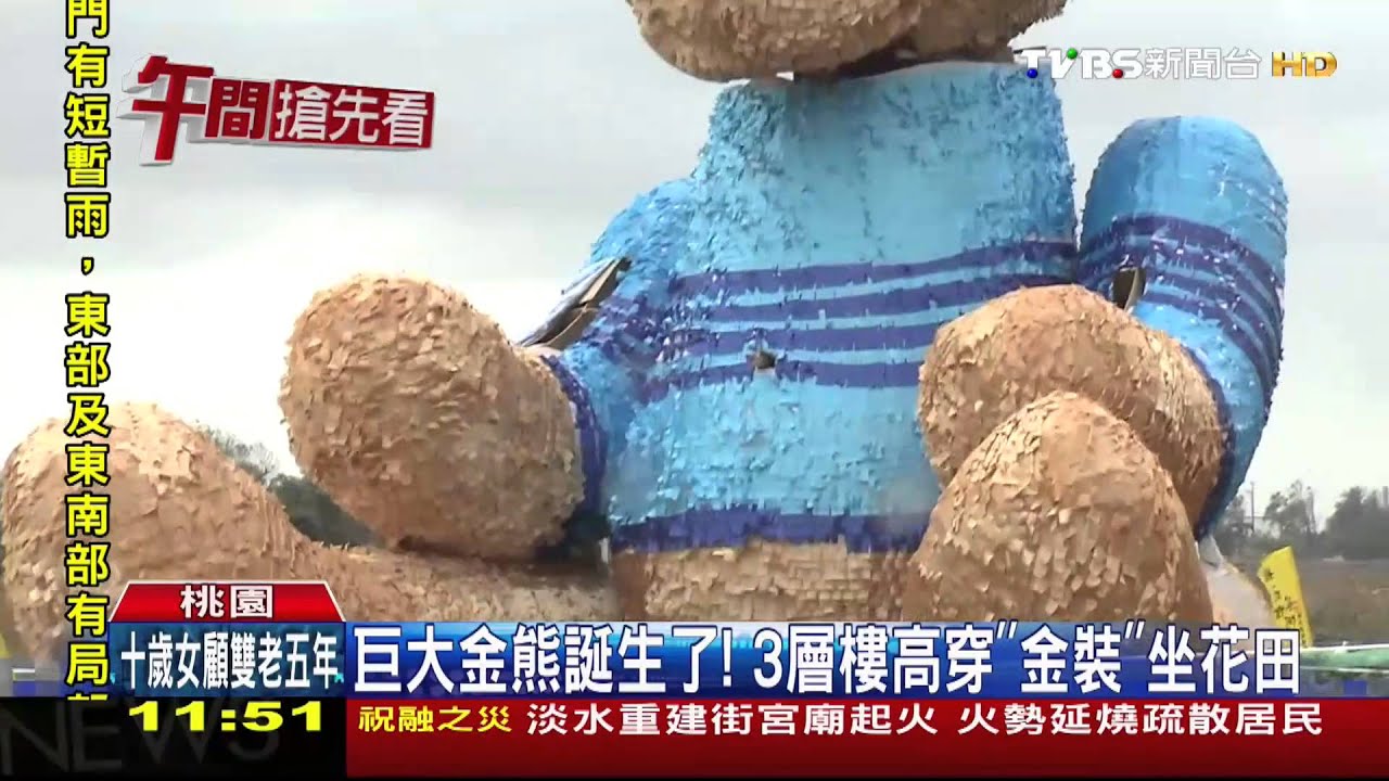 巨大金熊誕生了！　3層樓高穿「金裝」坐花田