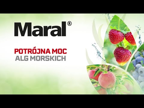 Biostymulacja upraw - Maral