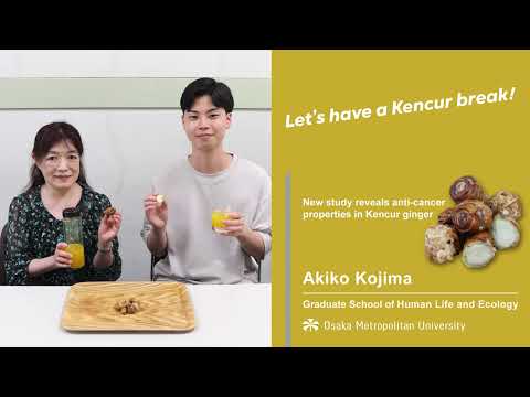 公共経営学科 Let's have a Kencur break! ― New study reveals anti-cancer properties in Kencur ginger