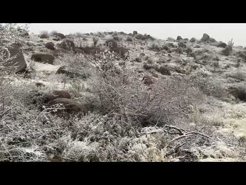 01-23-2023 Sunflower, AZ - Rare Desert Snow II