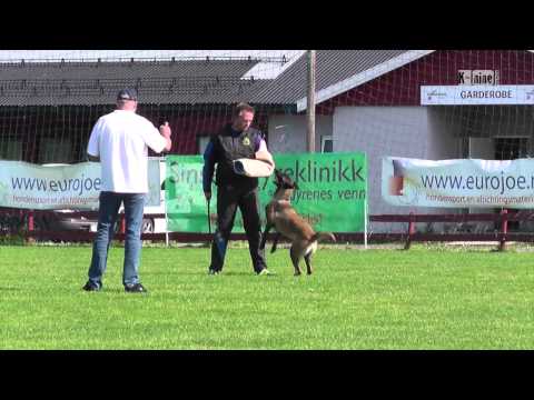 Lux av Staalhjerte - C @ Norwegian Masters 2013