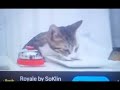 Iklan Rokok Extra Mild 2013 Revisi 2015