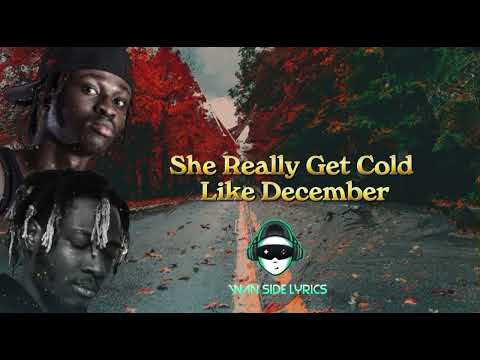 Reggie - Won't Be Here Forever ft Kojo Trila & O'Kenneth[Official Lyrics Video]