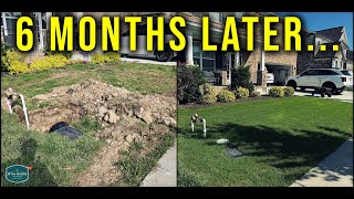 What Happened To My Brothers Lawn?