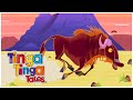 Why Wildebeest Always Run 1 Hour Of African Animal Folk Tales Tinga Tinga Tales Official