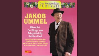 Download lagu De Bärge zue mp3 Download lagu De Bärge zue mp3