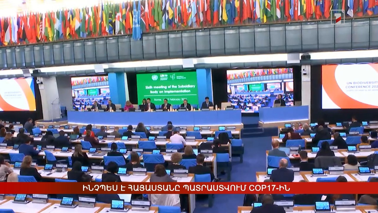 Ինչպես է Հայաստանը պատրաստվում COP17-ին