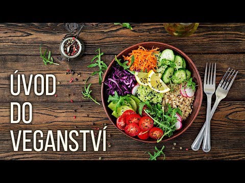 , title : 'MUDr. Radana Dymáčková – Úvod do veganství (VeganFest 2019)'