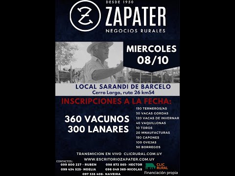 8/10/2025 Feria Mensual - Local Sarandi de Barceló -  Escritorio Zapater