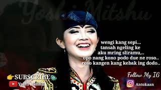 Download lagu Safira enima,sayang kowe ( STORY WA terbaru ) mp3 Download lagu Safira enima,sayang kowe ( STORY WA terbaru ) mp3