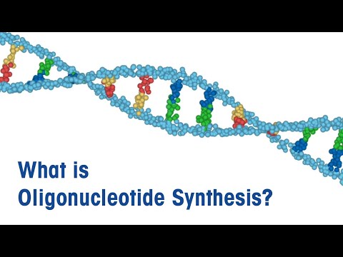 What is Oligonucleotide Synthesis?