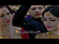 Raees Bacha Pashto Song 2022 | Rook De Rana Zra Janana | پشتو | afghani Music | Video Songs