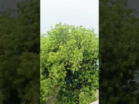 #supreet 👍👍👍👍👍🙏🙏🙏🙏🙏🙏🙏🙏🙏💝💝💝💝💝💝💝💝💝