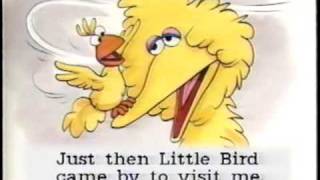 Sesame Street: Start-To-Read Video - Nobody Cares About Me!