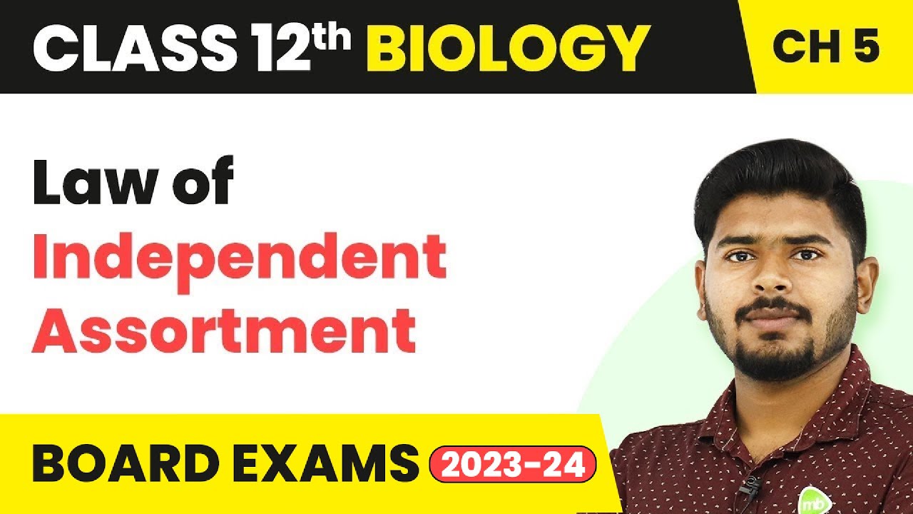 Law of Independent Assortment - Principles of Inheritance and Variation | Class 12 Biology (2022-23)