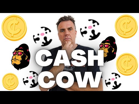 CAASH COW is my NEXT INVESTMENT! 💸🐮