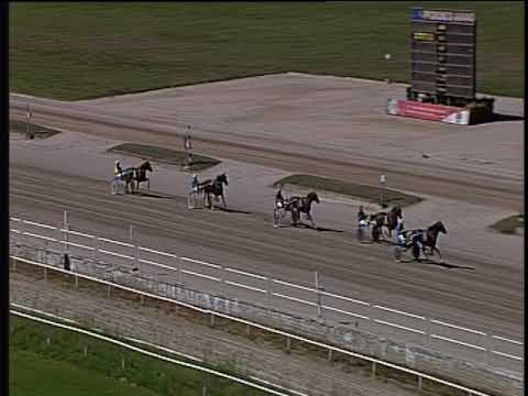 Trotto 08/09/2019 - 2ª prova di qualifica