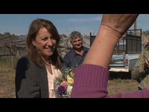 Recorrida por el Cinturón Verde