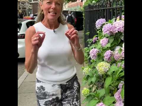 Zooming the forecasters: Louise Lear from July 1st 2024