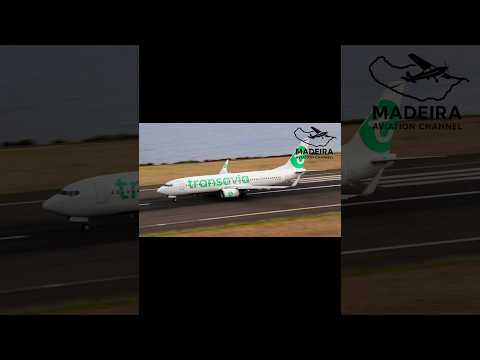 B737 Transavia Taking Off At CR7 MADEIRA AIRPORT #jetworld #airplane #aviation #travel #b737