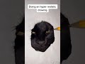 How To Draw A Hyperrealistic Cat ️