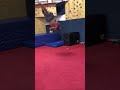 FROM SITTING DOWN… TO THAT 😳 Daniel DC Cormier ready to fight Conor McGregor ufc 269 #shorts #mma